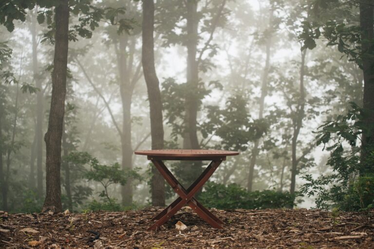 Simple Wood Bench